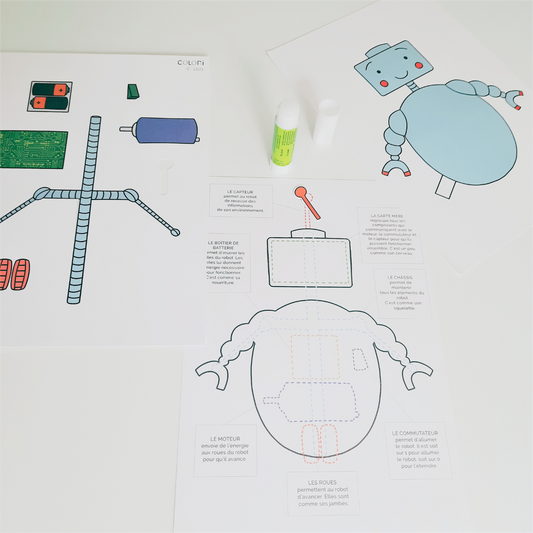 Collage Hayo le Robot et Ordinateur